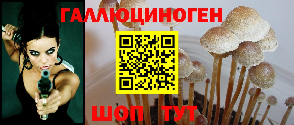 Галлюциногенные грибы ЛСД Воронеж